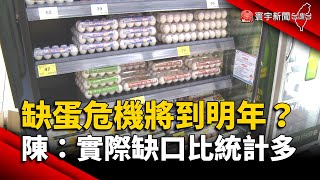 缺蛋危機將到明年？陳吉仲坦言：實際缺口比官方統計多｜#寰宇新聞 @globalnewstw