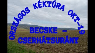 2024.10.12 OKT-19  Kéktúra Becske-Cserhátsurány szakasz