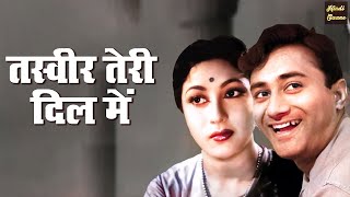 Tasveer Teri Dil Mein | Lata Mangeshkar, Mohammed Rafi | Superhit Hindi Song | Dev Anand, Mala Sinha