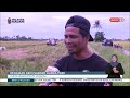 11 OGOS 2023 BERITA WILAYAH – KENAIKAN SKIM SUBSIDI HARGA PADI TERIMA REAKSI POSITIF PESAWAH