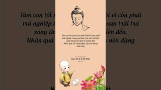 Phần 170 | Lời Phật Dạy 🙏🙏 🙏