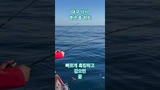 대구낚시 액션 중 히트 빠르게 훅킹 #fishing #낚시 #대구낚시 #대구낚시액션 #대구낚시방법