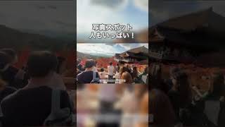 【ドライブ Vlog 】関西屈指の紅葉の名所へ！short