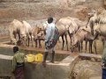 CARE Responds to the Drought in Horn of Africa