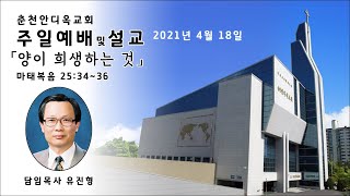 춘천안디옥교회 2021년 4월 18일 11시 주일예배설교(1시간) '양이 희생하는 것'