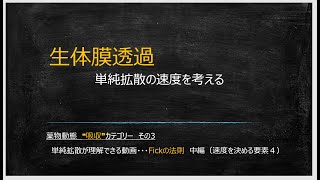 単純拡散の速度を考える 中編（分配係数編）