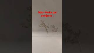 Nyu-Yorka qar çovğunu ..