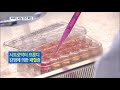 “주사 준비 단계서 오염”…이대 목동 의료진 2명 추가조사 kbs뉴스 kbs news