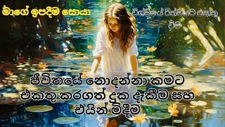 Reality of life Sinhala / ජීවිතයේ සදාකාලික සතුට සොයා / ජීවිතයේ අවසාන කතාව #mindmiracle