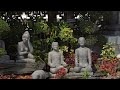 bangkok wat phra kaew cinematic 4k