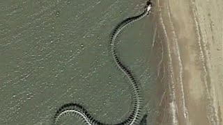 biggest snake 🐍 location in world map 🤔🤔🤔