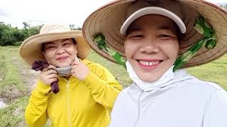 HAI BÀ VLOG ĐI THĂM RUỘNG VÀ HÁI RAU DẠI.