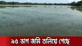 অসময়ের বন্যায় পানির নিচে রোপা আমনের উঠতি ফসল; দুশ্চিন্তায় চাষিরা | Netrokona Amon Rice