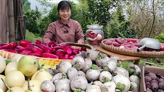 Set out in the early morning to set up a stall in the city! Rouge radish 1 yuan sold for money and