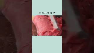 其实我只吃潮汕牛肉丸，其他我都不吃 #冷知识 #涨知识 #科普