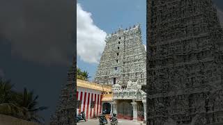 suchindram thanumalayan temple/ kanyakumari/tamilnadu