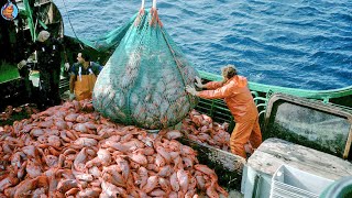 Russia pescadores capturan cientos toneladas pescado mar sigue esta manera