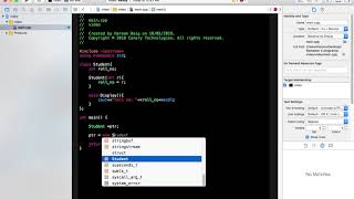 Dynamically allocating memory for array of objects using pointers