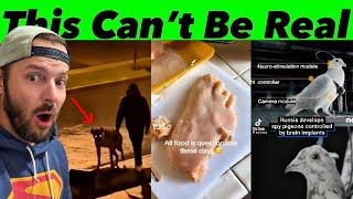 Disturbing Discoveries Are Starting to Surface…