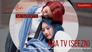 Singbin ✠ 🐺🐼 ✠ during ARA TV (Seezn) ⭄ 싱빈 ⤑ Dreamcatcher (드림캐쳐)