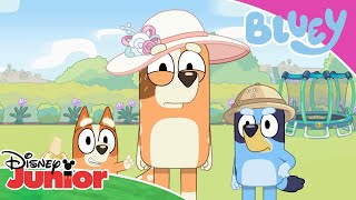 Μπλούι | Oι Καλύτερες Eκδρομές ✨| Disney Junior Ελλάδα