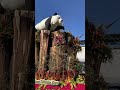 洛杉矶元旦花车游行 1：一场视觉盛宴the los angeles new year s day flower parade 1 a visual feast