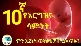 የእርግዝና አስረኛ ሳምንት//10 weeks pregnant ;What to Expect