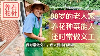 88岁的老先生 - 养花、种菜的达人 - 分享他的养生故事，令人感动 - 他居然也看过“石针养花”的视频