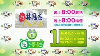 五洲網拍嚴選～八十五鴿舍 林冠志第一場領前鴿＆16羽順號精英特挑育種鴿 原鴿影音真實呈現