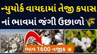 ન્યૂયોર્ક વાયદામાં તેજી કપાસના ભાવમાં જંગી ઉછાળો l kapas na bhav today l cotton l કપાસના ભાવ