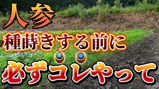 【人参】種蒔き前に必ずこれやって。発芽率をあげるためには、〇〇に注意してください。