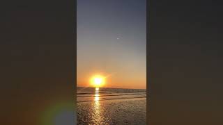 mandvi beach sunset video #new #love #beachlife #beautiful #beachvibes #mandvi beach #mandvi #sunset