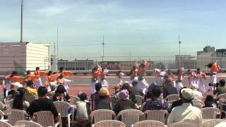 踊る阿呆虎拍会　踊っこまつり2014　ヤマトヤシキ演舞場