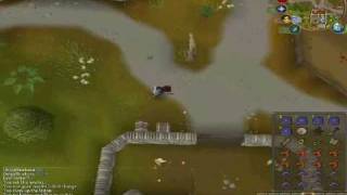 RUNESCAPE LEVEL 3 CLUE SCROLL TUTORIAL