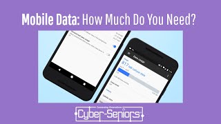 Mobile Data: How Much Do You Really Need?