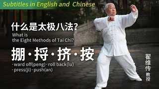 太極掌门讲解太极基本功八法之：掤、捋、挤、按 Tai Chi master explains the four orthodox methods: \