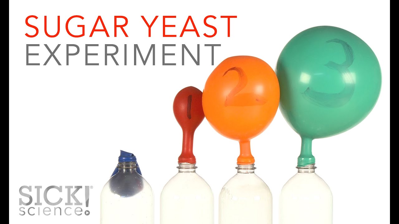 Sugar Yeast Experiment Sick Science 229 Youtube