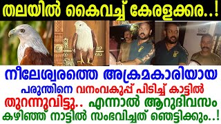 പരുന്തിന്റെ പ്രതികാരത്തില്‍ ഞെട്ടി കേരളക്കര..! ഇത് ഒന്നൊന്നര പണിയായിപ്പോയി എന്ന് നാട്ടുകാര്‍