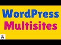 What is a WordPress Multisite?