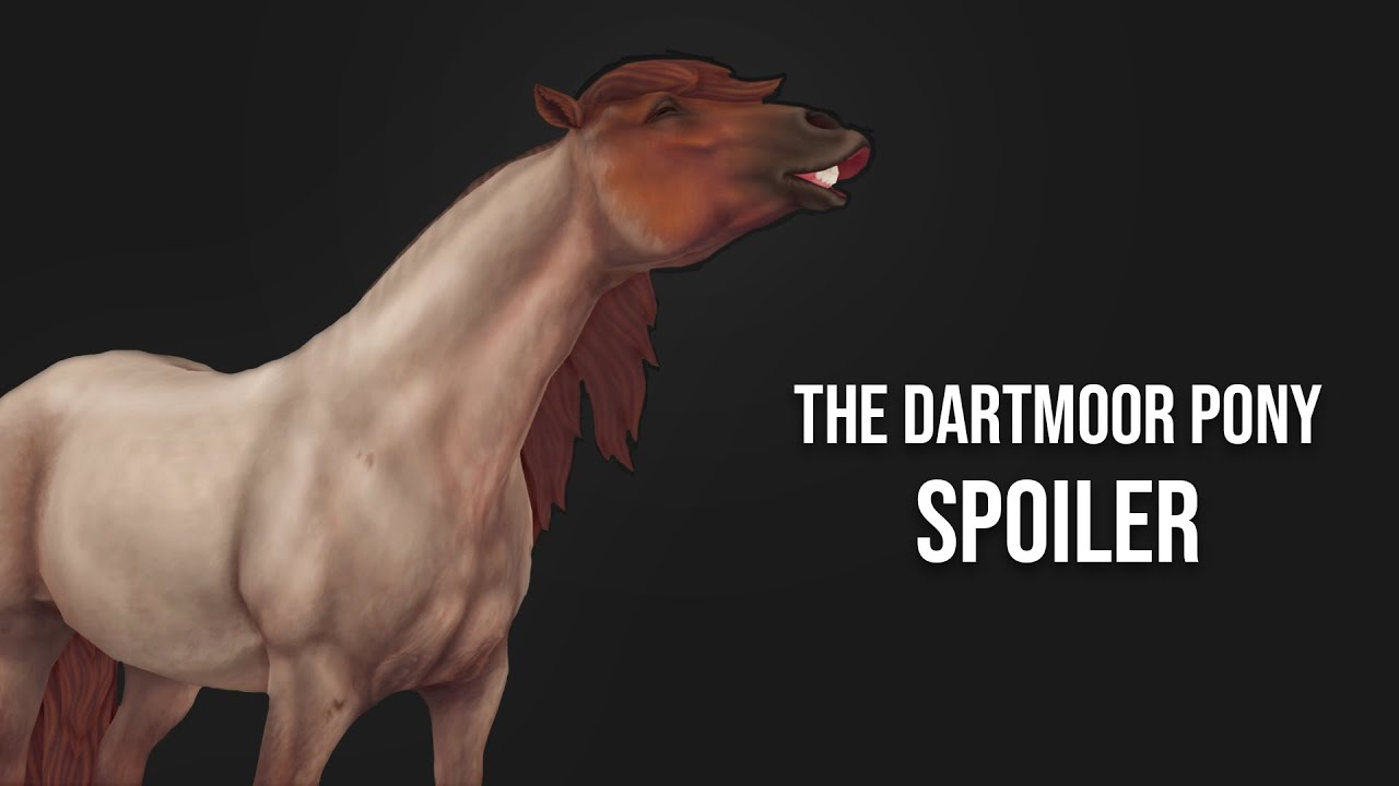 SPOILER - THE DARTMOOR PONY (Coats, Gaits, In Race) + BONUS | SSO ...