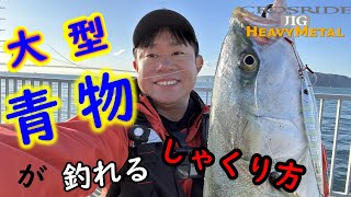 大型青物が釣れるジグ！釣れるしゃくり方！メジャークラフト　クロスライドジグ　ヘビーメタルで激熱の大阪湾ショアジギングを明石大蔵海岸にて楽しんで来ました。