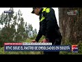 RTVC Noticias ha hecho seguimiento a los casos de cuerpos embolsados en Bogotá  | RTVC Noticias