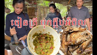 ទិញត្រីស្រស់ៗនៅសាលាតាអន ប្រឡាក់ចៀន បុកក្តឹបធំពិល សម្លរម្ជូក្រឡេីតត្រី #ahmey #food