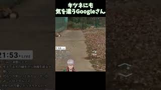 GeoGuessrで発見したGoogleさんの神配慮 #shorts #GeoGuessr #Vtuber