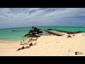 platico point middle caicos turks and caicos islands 2 beaches snorkeling and old cargo port