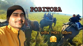 পবিতৰা অভয়াৰণ্য // Pobitora wildlife sanctuary