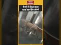 leopard in ghaziabad factory viralvideo leopardinfactory shorts