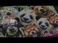 550 piece bear selfie time lapse jigsaw puzzle