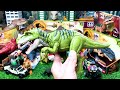 big tyrannosaurus rex hunt pyroraptor mattel dinosaur collection neovenator parasaurolophus...