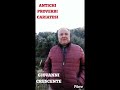 antichi proverbi calabresi “il pastorello”